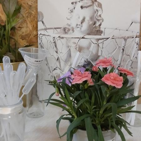 Le Laboratoire Shabby Chic De La Parfumerie Du Manoir Chavagne Luaran gambar