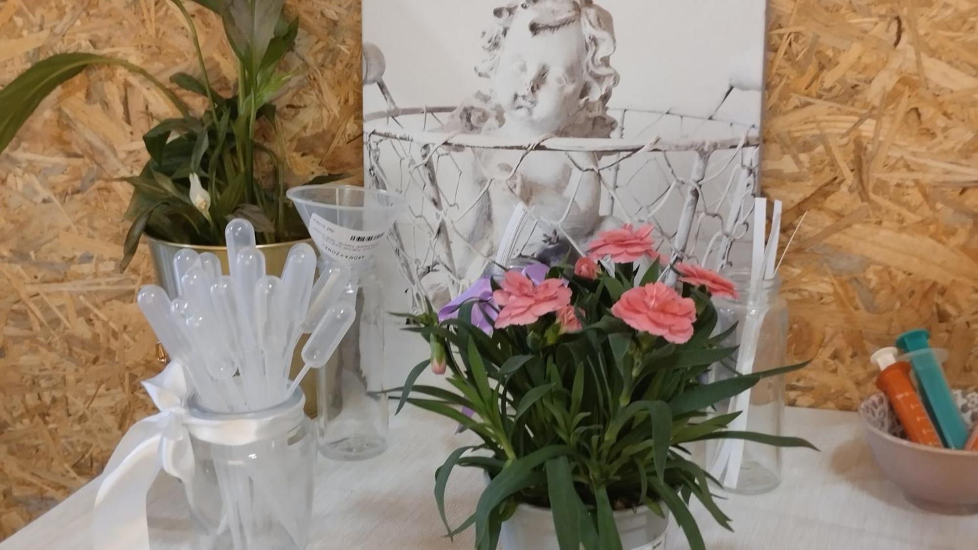 Le Laboratoire Shabby Chic De La Parfumerie Du Manoir Chavagne Luaran gambar